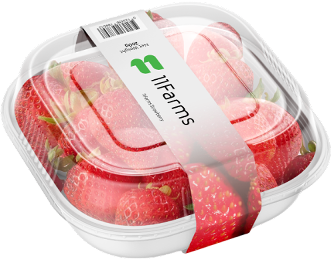 The Albion Strawberry!